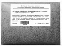 Image Associated With the Occurrence